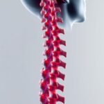 spinal cord injury lawyer